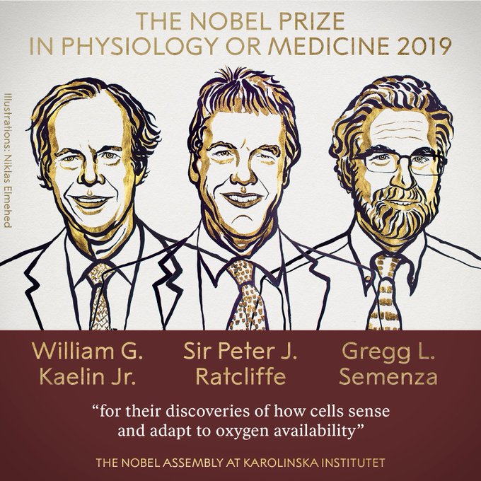 三位醫學家同獲2019年諾貝爾生理學或醫學獎